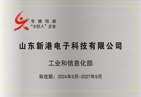 喜訊！新港電子入選第六批專精特新“小巨人”企業(yè)稱號